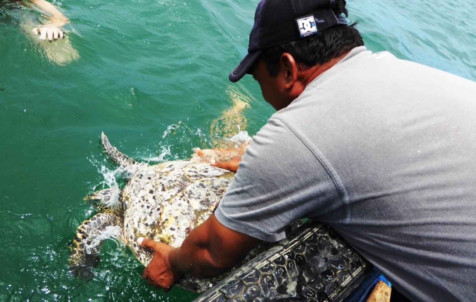 Pescadores se capacitan para rescatar tortugas en altamar